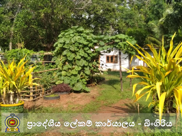 அலுவலக தோட்டம்